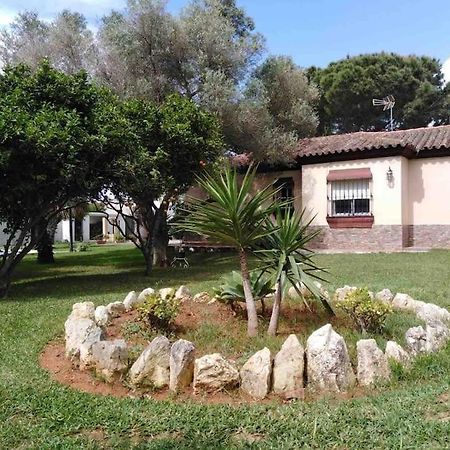 Chalet En La Barrosa, Piscina+Bbq+Grifo De Cerveza Chiclana de la Frontera Eksteriør bilde